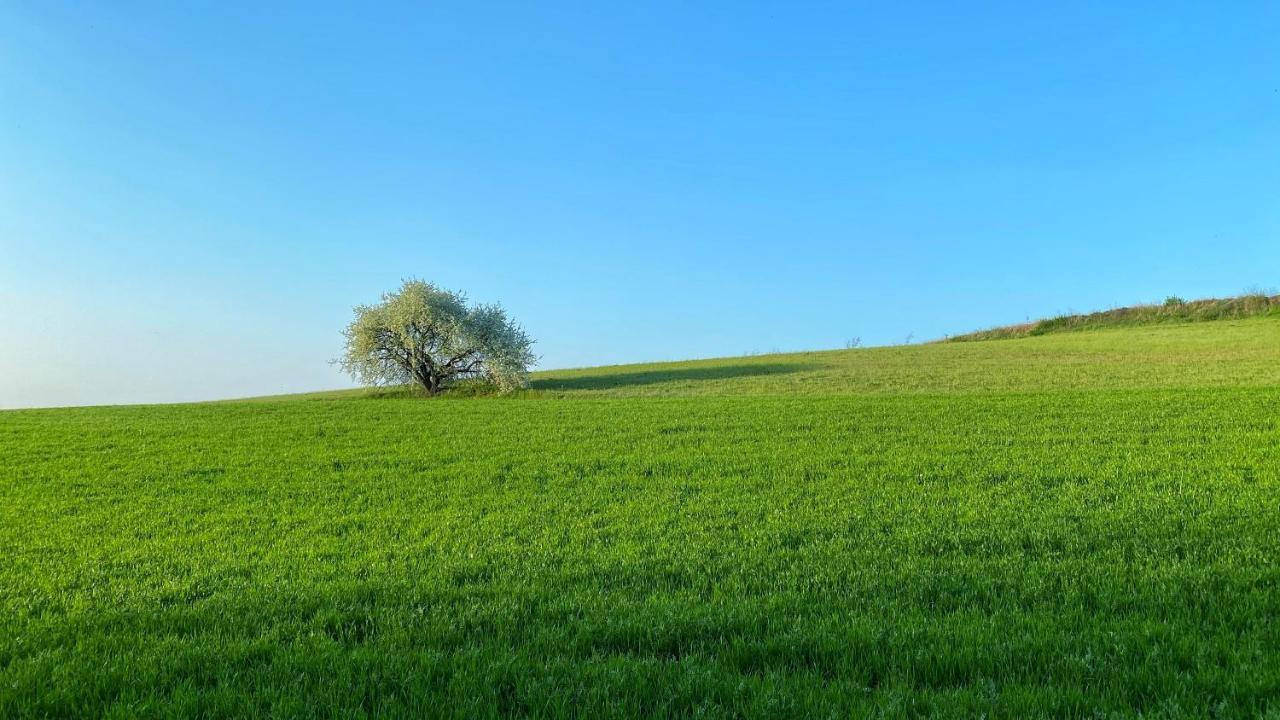 Agriturismo Albana Castiglione Delle Stiviere Luaran gambar